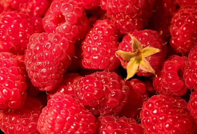 XOLDA Raspberry Fruit Seed(35 per packet)