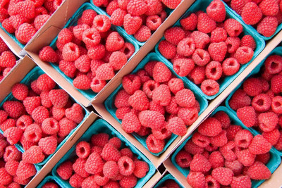 XOLDA Raspberry Fruit Seed(35 per packet)