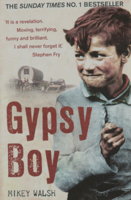 Gypsy Boy(English, Paperback, Mikey Walsh)