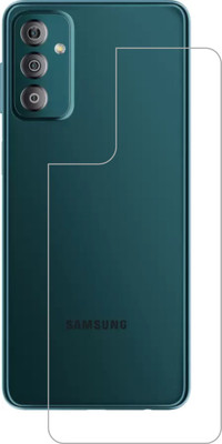 Vatsin Back Screen Guard for Samsung Galaxy F23 5G(Pack of 1)