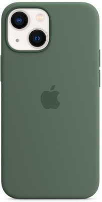 Apple Back Cover for Apple iPhone 13 Mini(Eucalyptus, Silicon)