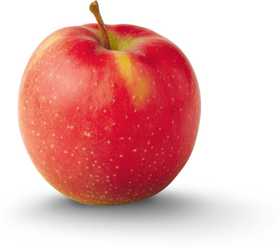 Paudha Apple fruit Seed(10 per packet)