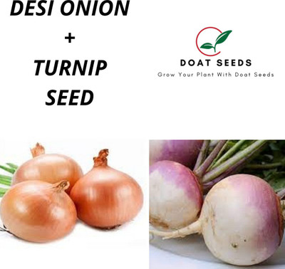 Doat Desi Onion With Turnip Seed(100 per packet)