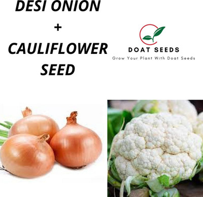 Doat Desi Onion With Cauliflower Seed(100 per packet)