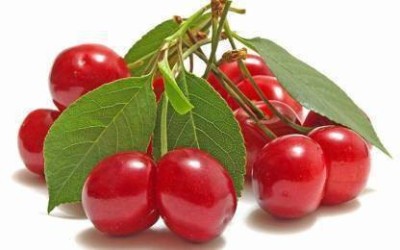 Chalisa Cherry, Cherry Fruit, Sweet cherry Seed(13 per packet)