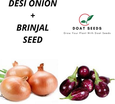 Doat Onion Brinjal Seed(100 per packet)