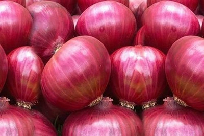 Mozette Hybrid Onian Seed(70 per packet)