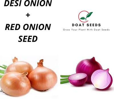 Doat Desi Onion, Red Onion Seed(100 per packet)