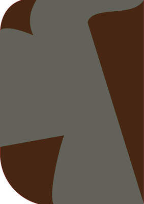 Stookin 8X 12ft ,2 In 1 Colors Single Photography Backdrop(Brown & Dark Gray 2 in 1) Reflector