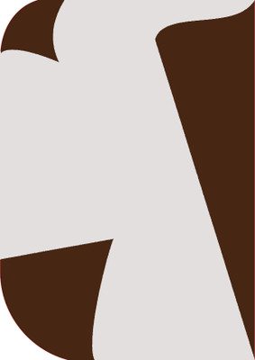 Vistook 8X 12ft ,2 In 1 Colors Single Photography Backdrop(Brown & White 2 in 1) Reflector