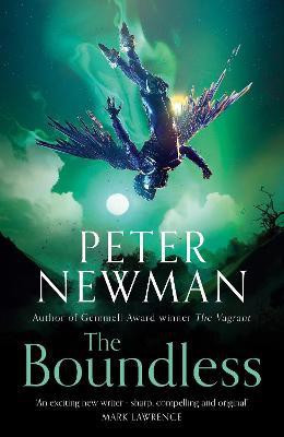 The Boundless(English, Paperback, Newman Peter)