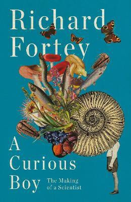 A Curious Boy(English, Hardcover, Fortey Richard A.)