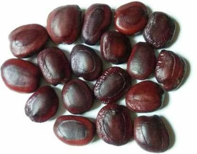 MKR Enterprises Tamrind Seed(120 per packet)