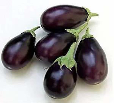 VibeX ® RXI-447 Brinjal Small / Eggplant Seeds Seed(200 per packet)