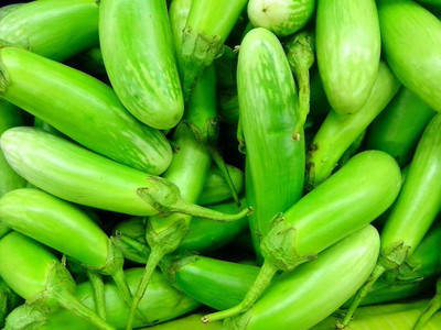 MKR Enterprises Brinjal Seed(500 per packet)