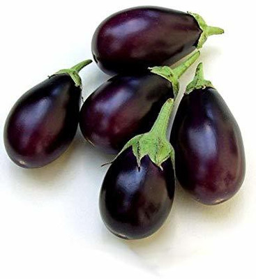 MKR Enterprises Brinjal Seed(500 per packet)