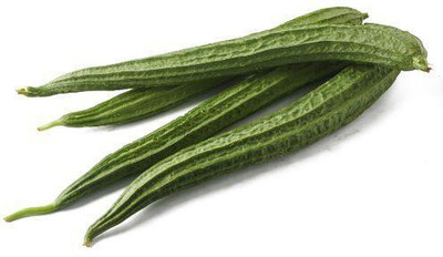 XOLDAA FI QUALITY RIDGE GOURD Seed(16 per packet)
