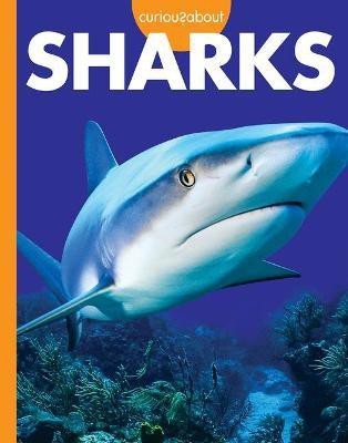 Curious about Sharks(English, Paperback, Hansen Amy S)