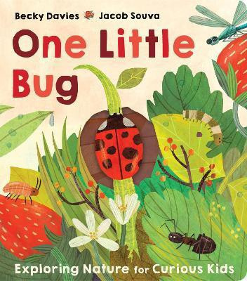 One Little Bug(English, Board book, Davies Becky)