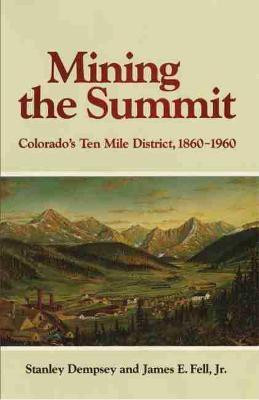 Mining the Summit(English, Paperback, Dempsey H. Stanley)