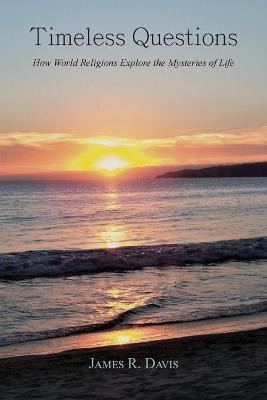 Timeless Questions(English, Paperback, Davis James R)