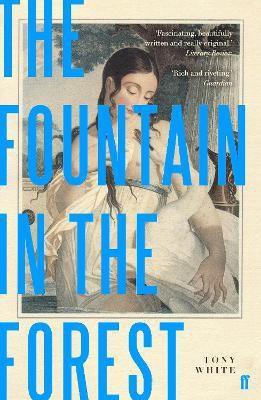 The Fountain in the Forest(English, Paperback, White Tony)