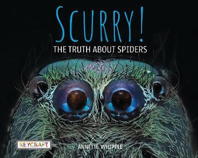 Scurry! the Truth about Spiders(English, Hardcover, Whipple Annette)
