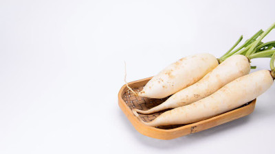 Paudha Radish plant Seed(10 per packet)