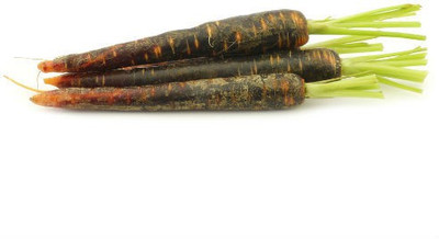 Paudha Black carrot Seed(25 per packet)