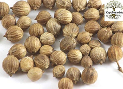 Kapebonavista Dhania Seed Coriander Seed 100pcs seeds Seed(1 per packet)
