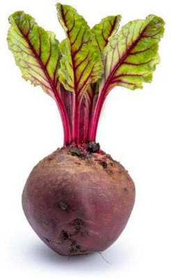 Mozette Beetroot plant Seed(23 per packet)