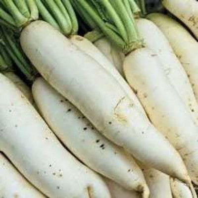 Paudha Radish plant Seed(50 per packet)