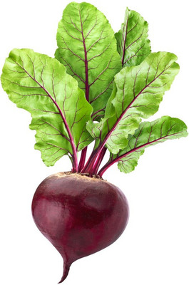 Mozette Beetroot plant Seed(28 per packet)