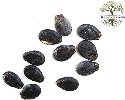 Kapebonavista Tarbooz Beej Watermelon 100 Seeds Seed(1 per packet)