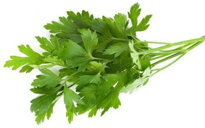 XOLDA Parsley Seed(37 per packet)