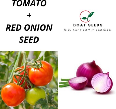 Qausain Tomato With Red Onion2 Varieties of Vegetable Seeds Combo (Pack of 100) Seed(100 per packet)