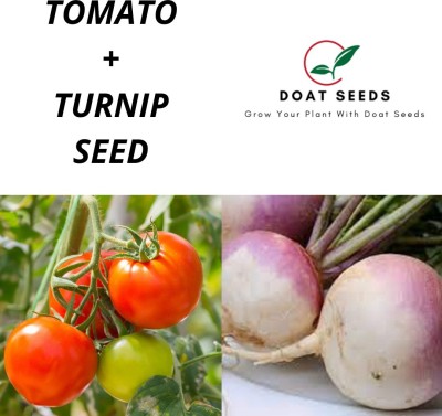 Doat Tomato With Turnip Seed(100 per packet)