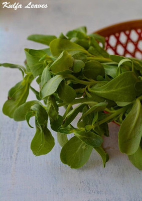 XOLDA Kulfa Seed(51 per packet)