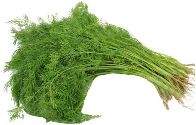 ME Traders Soya Dill Seed(50 per packet)