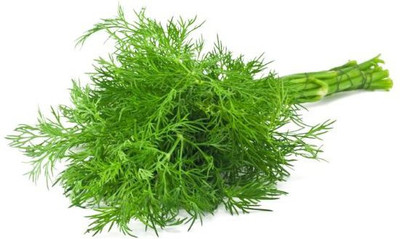 Paudha Soya Dill Seed(25 per packet)