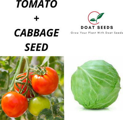 Doat Tomato With Cabbage 2 Varieties of Vegetable Seeds Seed(100 per packet)