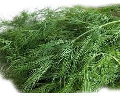 ME Traders Soya Dill Seed(46 per packet)
