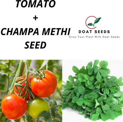 Doat Tomato With Fenugreek 2 Varieties of Vegetable Seeds Combo Seed(100 per packet)