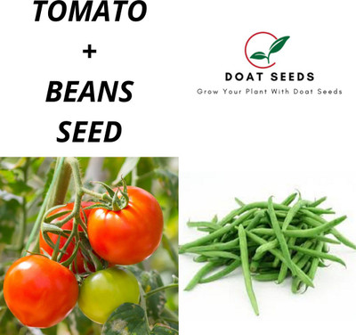 Doat Tomato With Beans Seed(100 per packet)