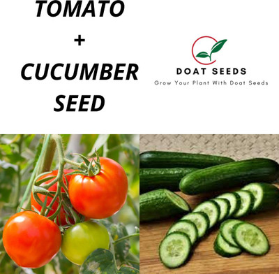 Doat Tomato With Cucumber 2 Varieties of Vegetable Seeds Seed(100 per packet)
