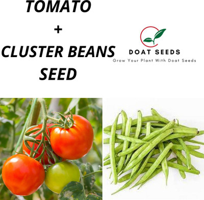 Doat Tomato With Clusterbeans2 Varieties of Vegetable Seeds Seed(100 per packet)