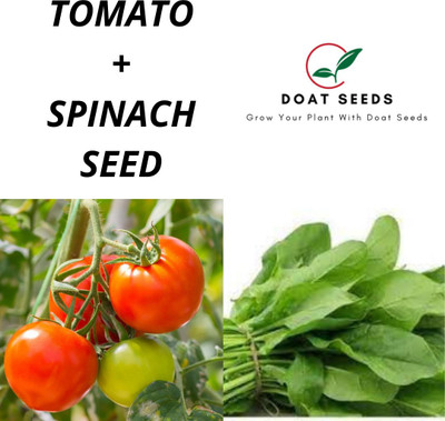 Doat Tomato With Spinach Seed(100 per packet)