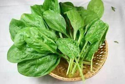 KANAYA Amaranth Seeds (Green Saag) Cholai Seed(90 per packet)