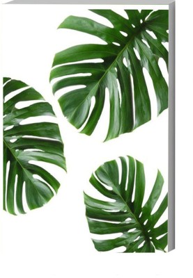 komstec 45.72 cm Green Leafs Plant Sunboard Posters Office Bedroom Sticker School Self Adhesive Sticker(Pack of 1)