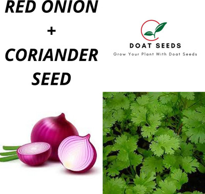 Doat Red Onion With Coriander 2 Varieties of Organic Vegetable Seeds Combo Seed(100 per packet)